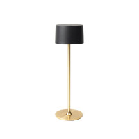 gold (± PMS 7506C)
